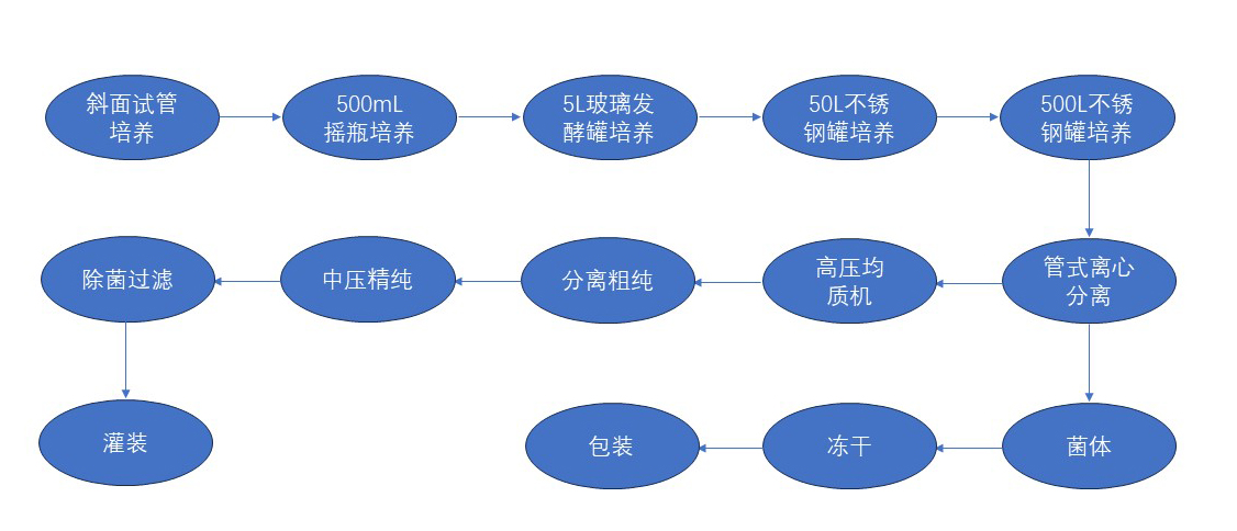 新建 Microsoft PowerPoint 演示文稿.jpg